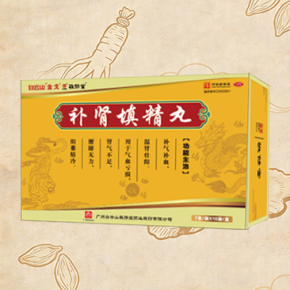 补肾填精丸10袋装